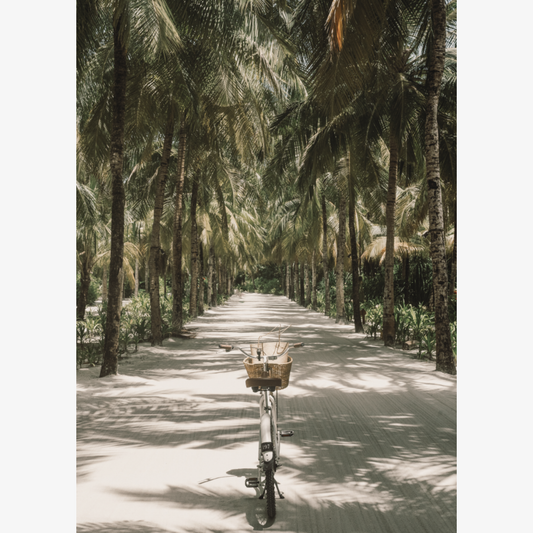 Tropical Ride