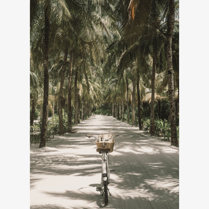 Tropical Ride