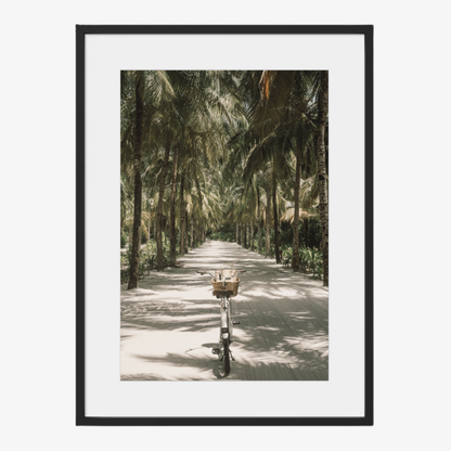 Tropical Ride