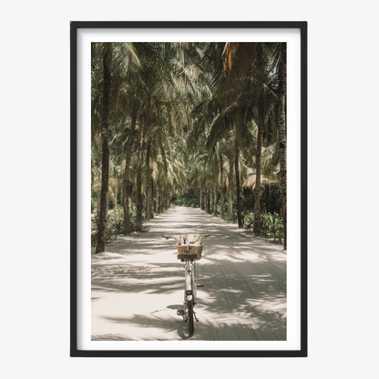 Tropical Ride