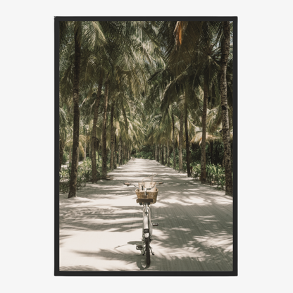 Tropical Ride