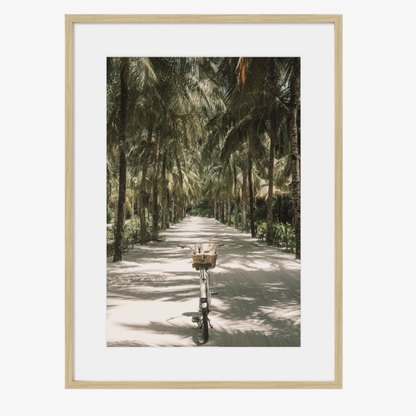 Tropical Ride