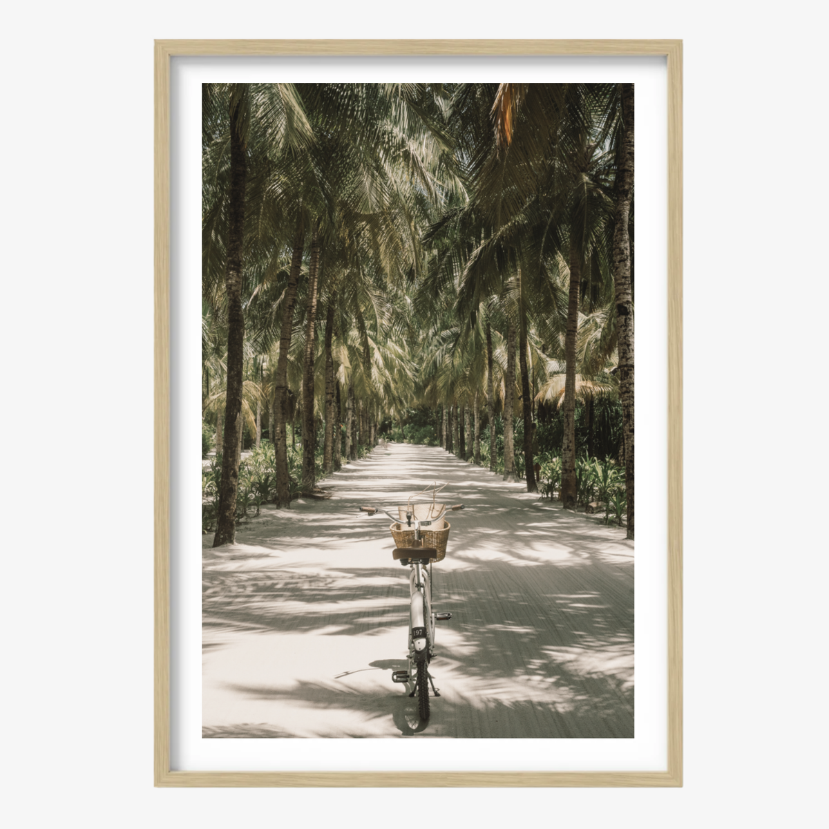 Tropical Ride