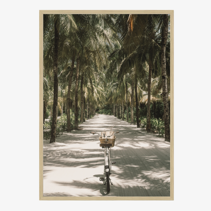 Tropical Ride