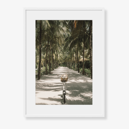 Tropical Ride