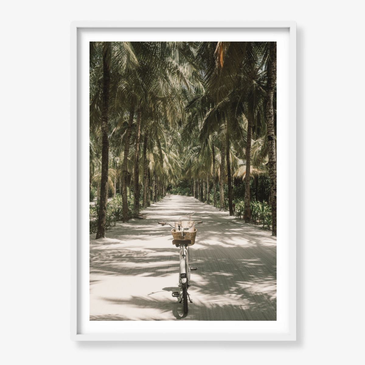 Tropical Ride
