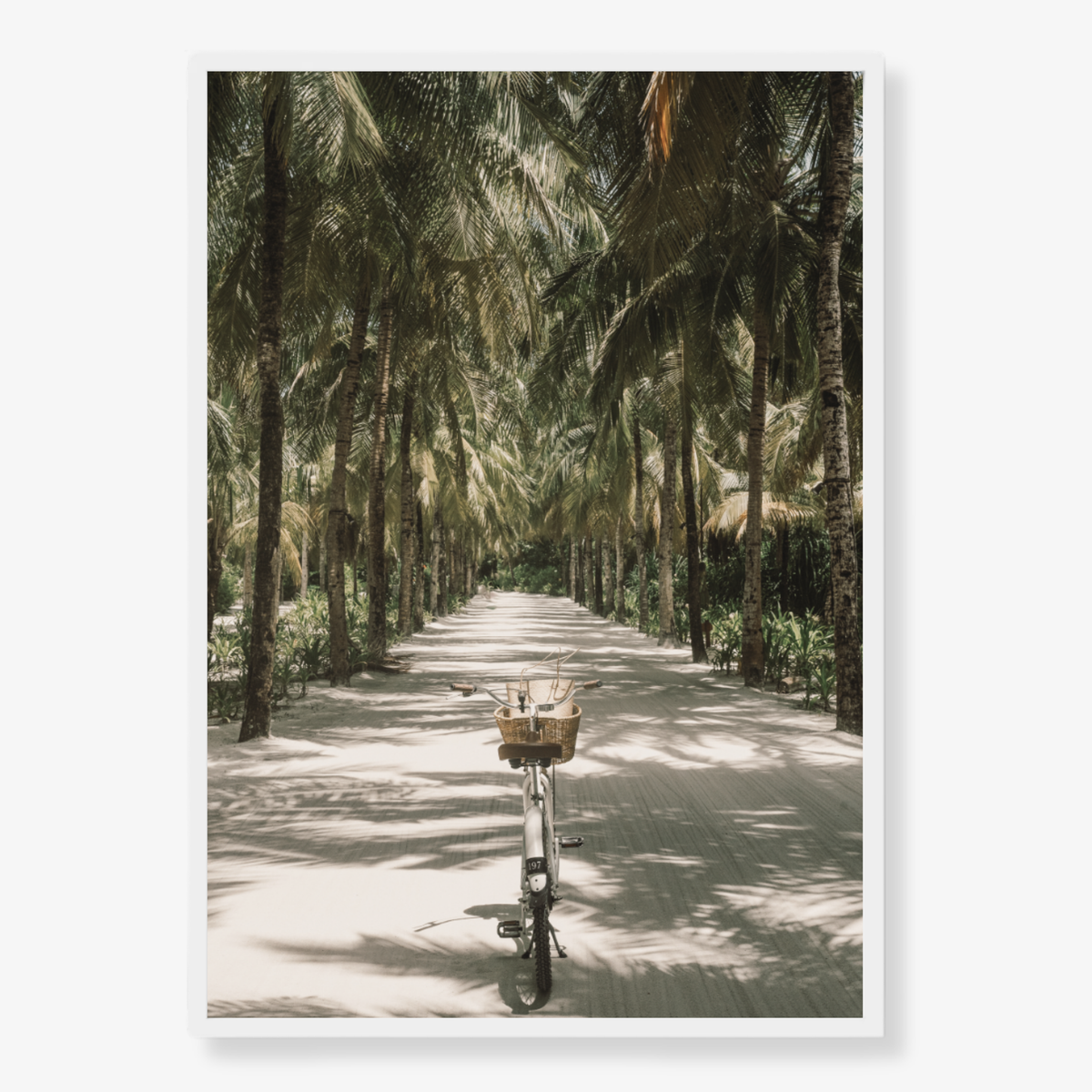 Tropical Ride